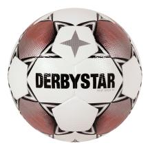 Derbystar Prof Gold