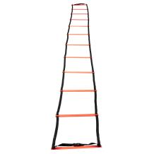 Training Ladder