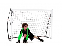 Kickster goal