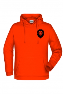 The lion hoody