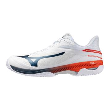 Mizuno Wave exceed court cc