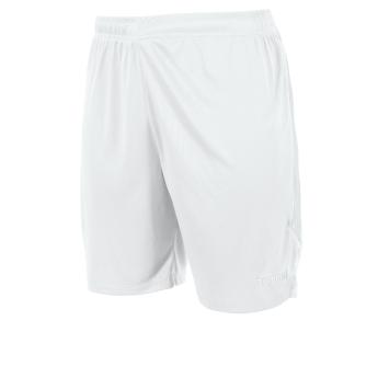 Boston Shorts