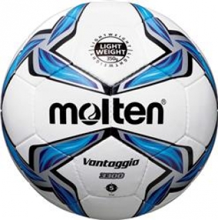 V3300 (350gr)