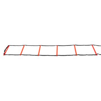 Training Ladder