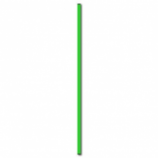 Sportec sportpaal 160 cm