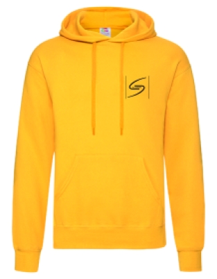 AV Statina Hoodie man