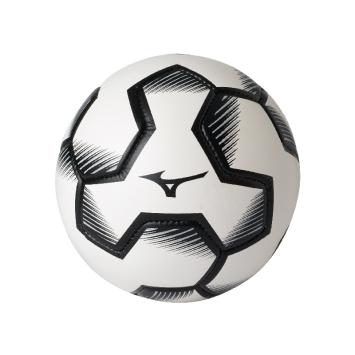 Fuji TR Ball H 12 pack