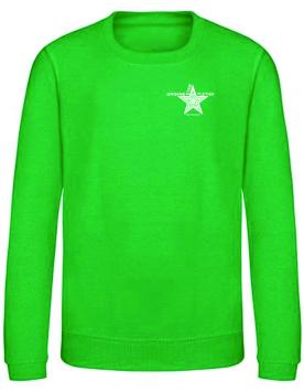 AV Groene Ster sweater