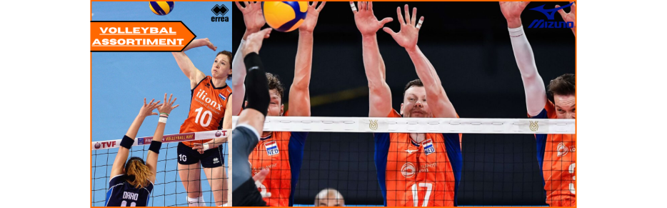 Afbeelding Volleybal Assortiment